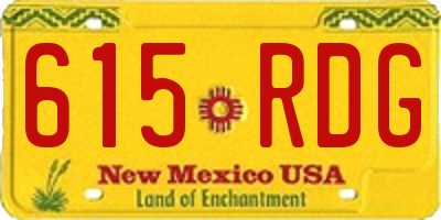 NM license plate 615RDG