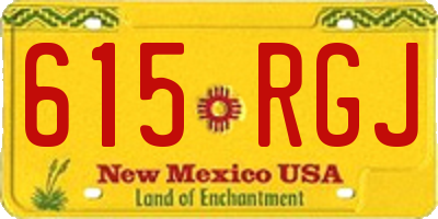 NM license plate 615RGJ