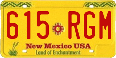 NM license plate 615RGM