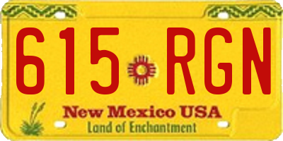 NM license plate 615RGN