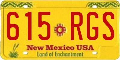 NM license plate 615RGS