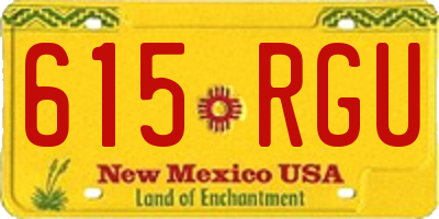 NM license plate 615RGU