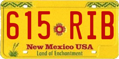 NM license plate 615RIB