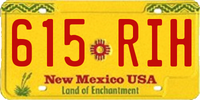 NM license plate 615RIH