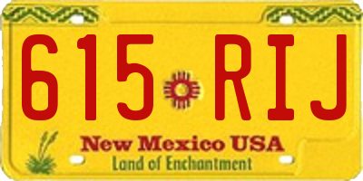 NM license plate 615RIJ