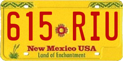 NM license plate 615RIU