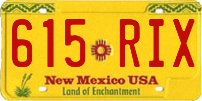 NM license plate 615RIX