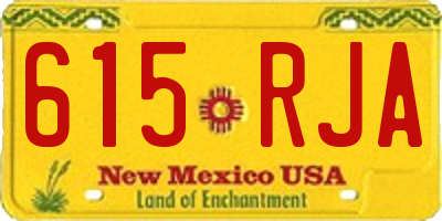 NM license plate 615RJA