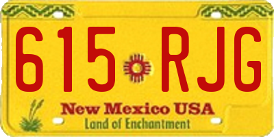 NM license plate 615RJG