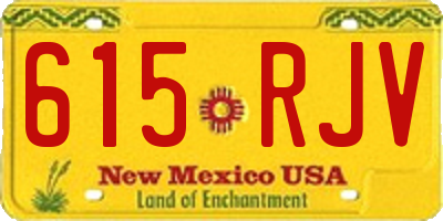 NM license plate 615RJV