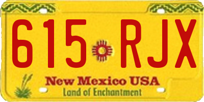 NM license plate 615RJX