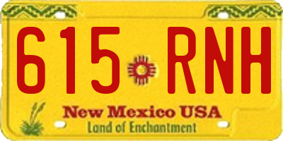 NM license plate 615RNH