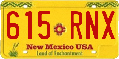 NM license plate 615RNX
