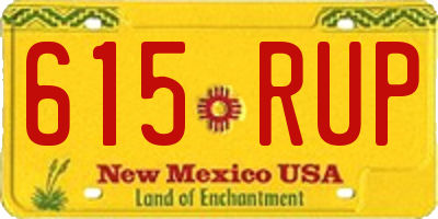 NM license plate 615RUP