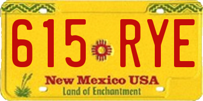 NM license plate 615RYE