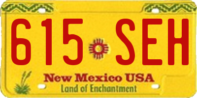 NM license plate 615SEH