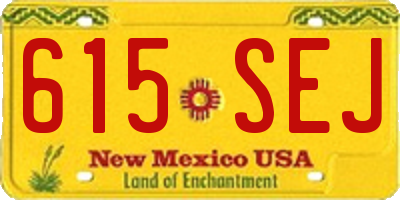 NM license plate 615SEJ