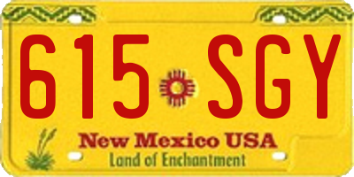 NM license plate 615SGY