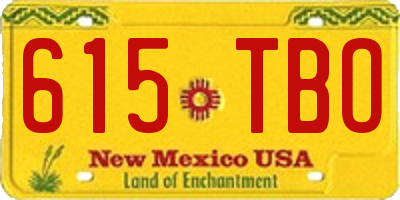 NM license plate 615TBO