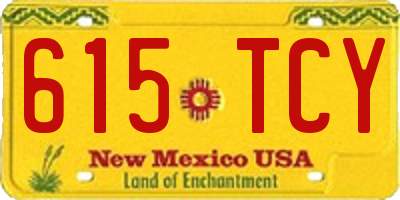 NM license plate 615TCY