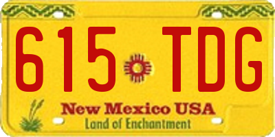 NM license plate 615TDG