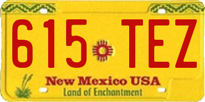 NM license plate 615TEZ