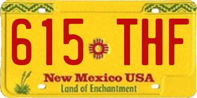 NM license plate 615THF