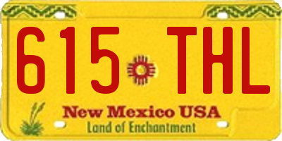 NM license plate 615THL