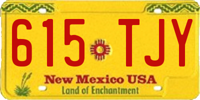 NM license plate 615TJY