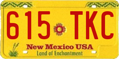 NM license plate 615TKC