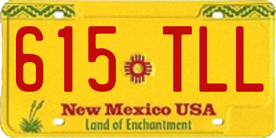 NM license plate 615TLL
