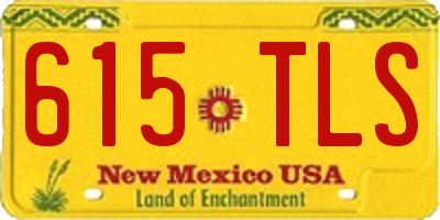 NM license plate 615TLS