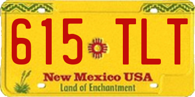 NM license plate 615TLT