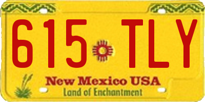 NM license plate 615TLY