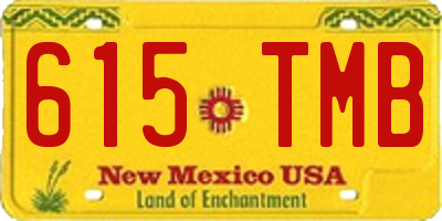 NM license plate 615TMB