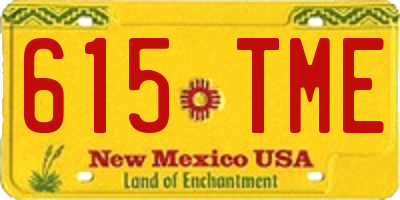 NM license plate 615TME