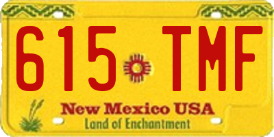 NM license plate 615TMF
