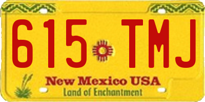 NM license plate 615TMJ