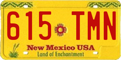 NM license plate 615TMN