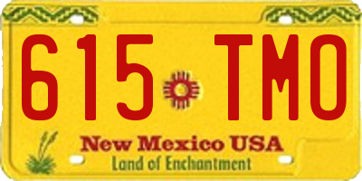 NM license plate 615TMO