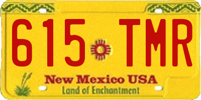 NM license plate 615TMR