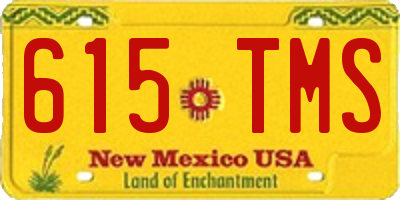 NM license plate 615TMS