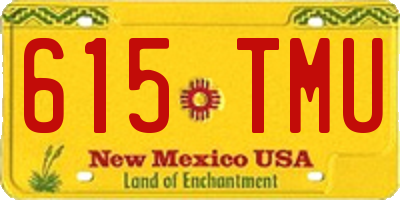 NM license plate 615TMU