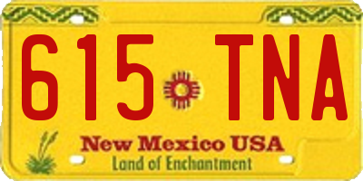NM license plate 615TNA