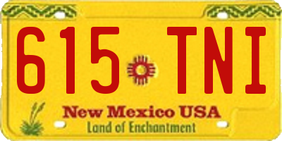 NM license plate 615TNI