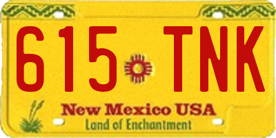 NM license plate 615TNK