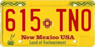 NM license plate 615TNO