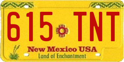NM license plate 615TNT
