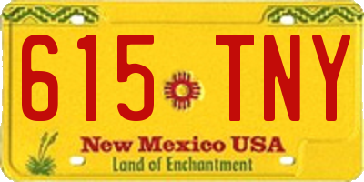 NM license plate 615TNY