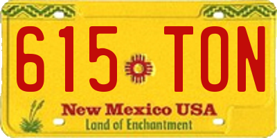 NM license plate 615TON